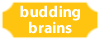 budding brains